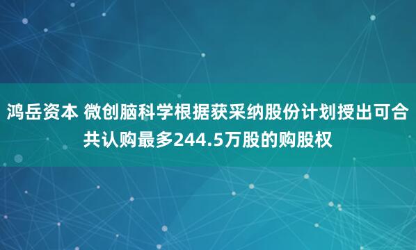 鸿岳资本 微创脑科学根据获采纳股份计划授出可合共认购最多244.5万股的购股权