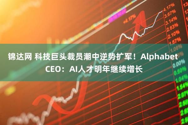 锦达网 科技巨头裁员潮中逆势扩军！Alphabet CEO：AI人才明年继续增长