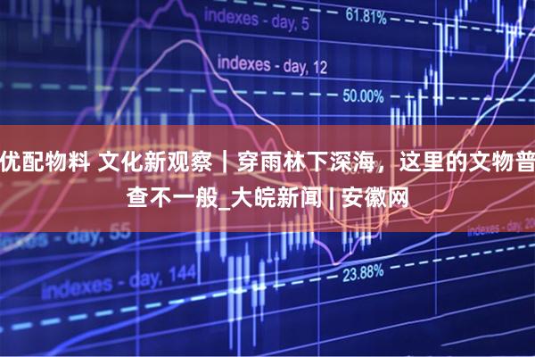 优配物料 文化新观察｜穿雨林下深海，这里的文物普查不一般_大皖新闻 | 安徽网