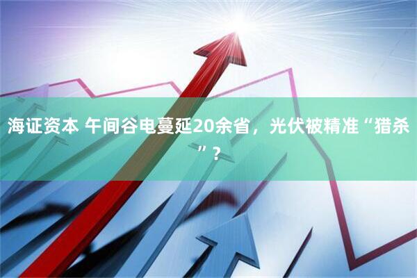 海证资本 午间谷电蔓延20余省，光伏被精准“猎杀”？