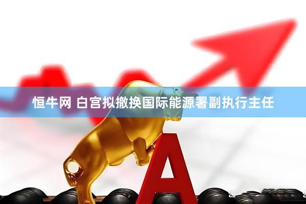恒牛网 白宫拟撤换国际能源署副执行主任