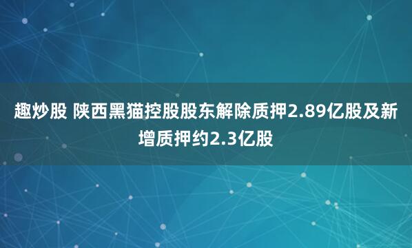 趣炒股 陕西黑猫控股股东解除质押2.89亿股及新增质押约2.3亿股
