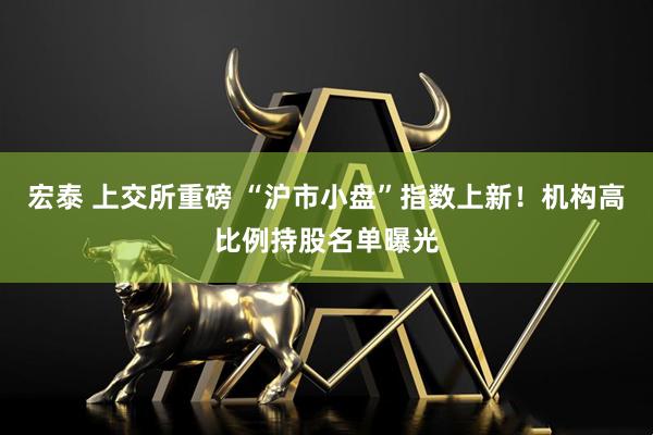 宏泰 上交所重磅 “沪市小盘”指数上新！机构高比例持股名单曝光