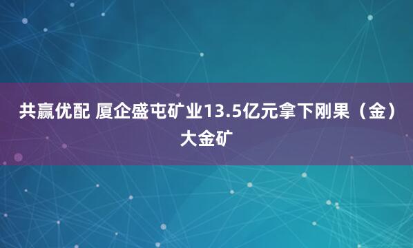 共赢优配 厦企盛屯矿业13.5亿元拿下刚果（金）大金矿